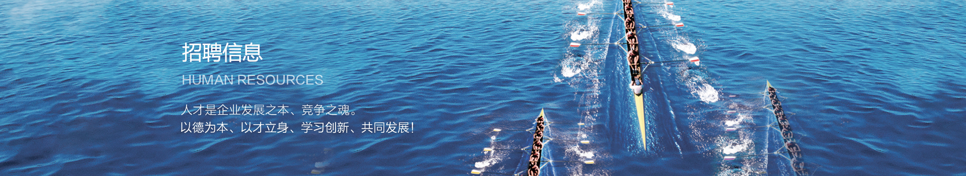 招(zhao)聘公告(gào)